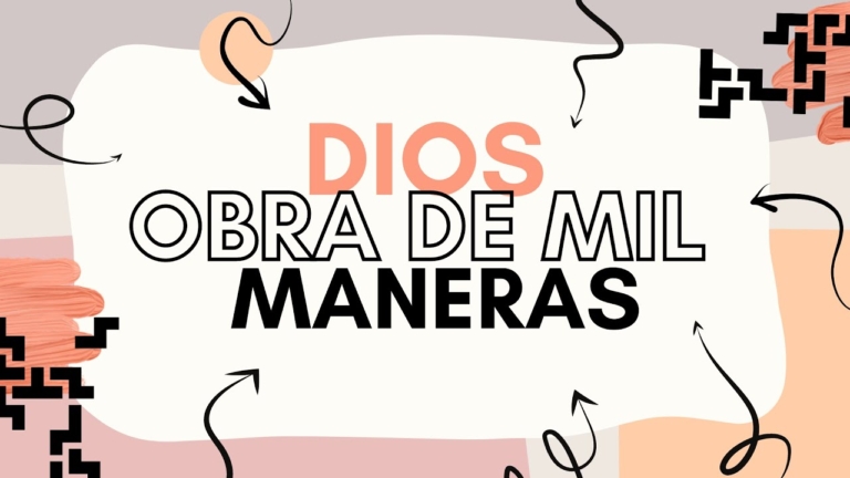 Galeria de evidencia