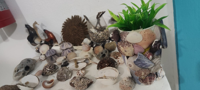 Galeria de evidencia