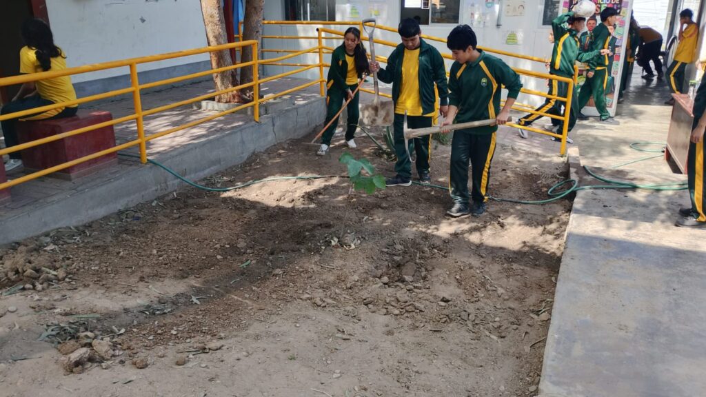 Sembramos, cuidamos y emprendemos: Biohuerto escolar 7230