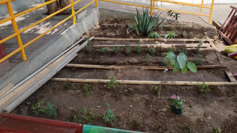 Galeria de evidencia