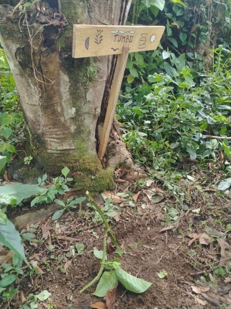 Galeria de evidencia