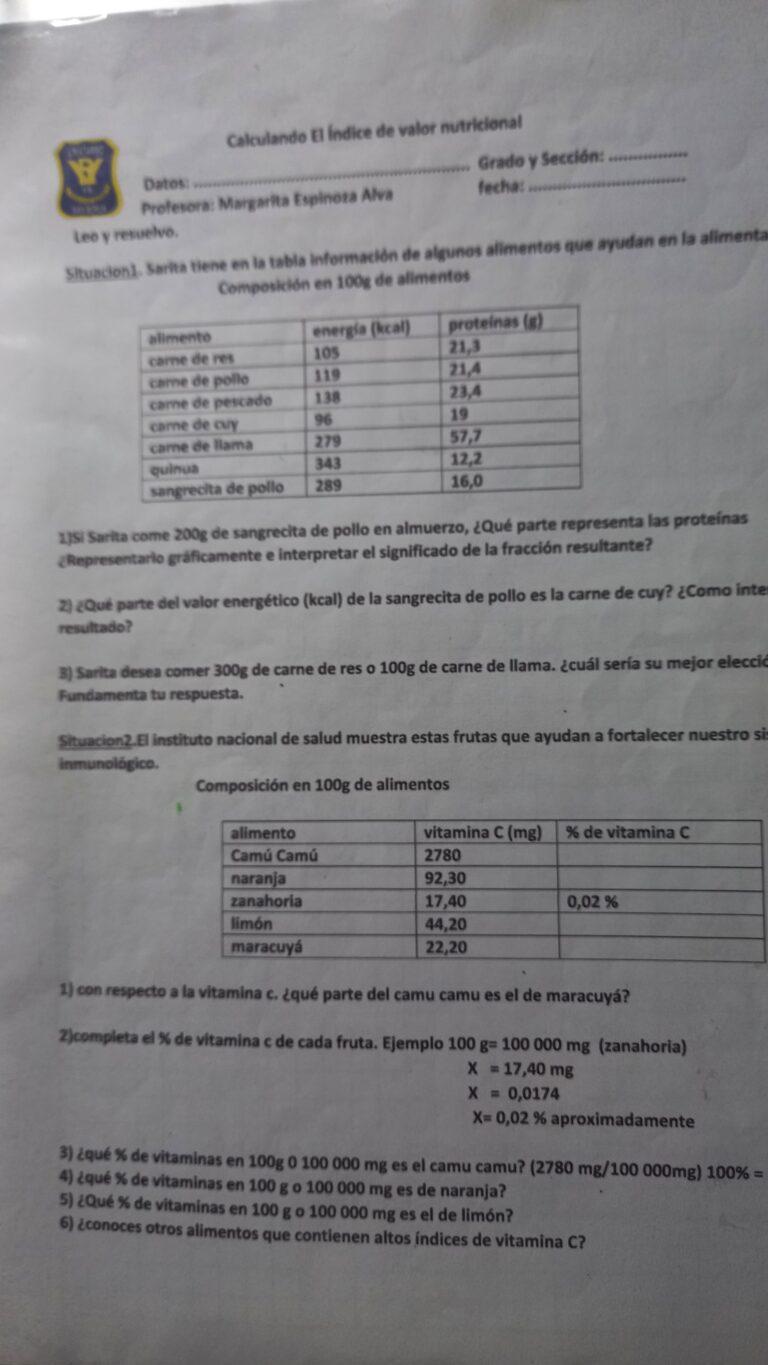 Galeria de evidencia