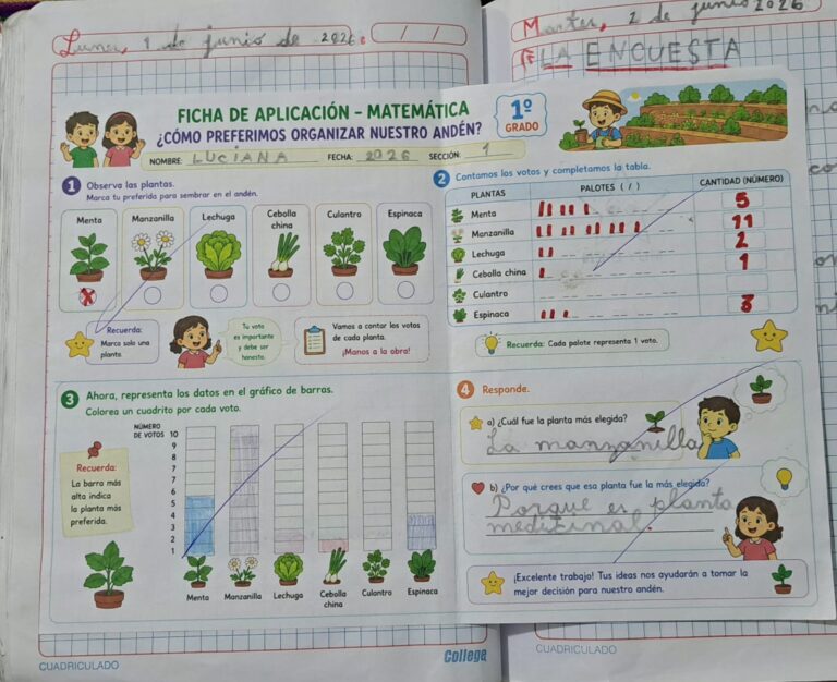 Galeria de evidencia