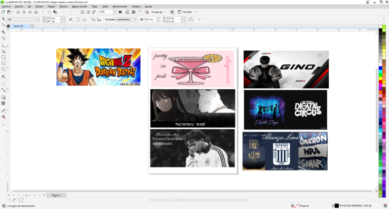 Galeria de evidencia