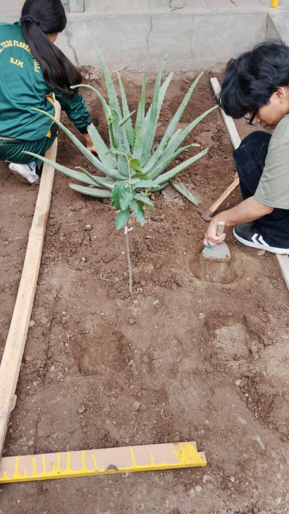 Sembramos, cuidamos y emprendemos: Biohuerto escolar 7230