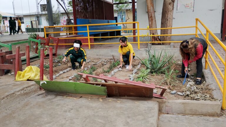 Galeria de evidencia