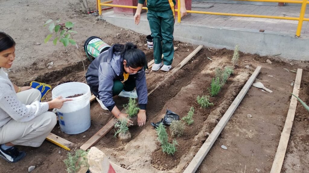 Sembramos, cuidamos y emprendemos: Biohuerto escolar 7230