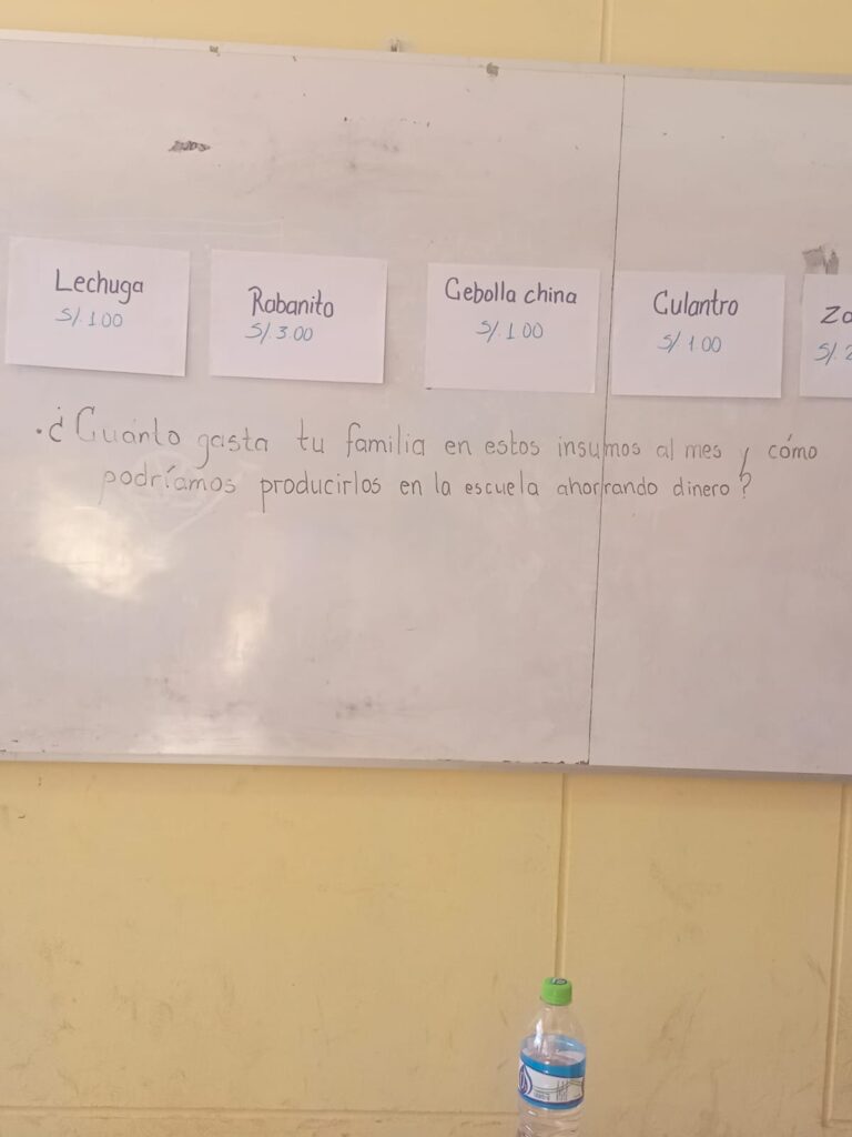 ESCUELA INTEGRAL: “Cultivamos ideas, cosechamos economía: el valor financiero de nuestro biohuerto escolar”.