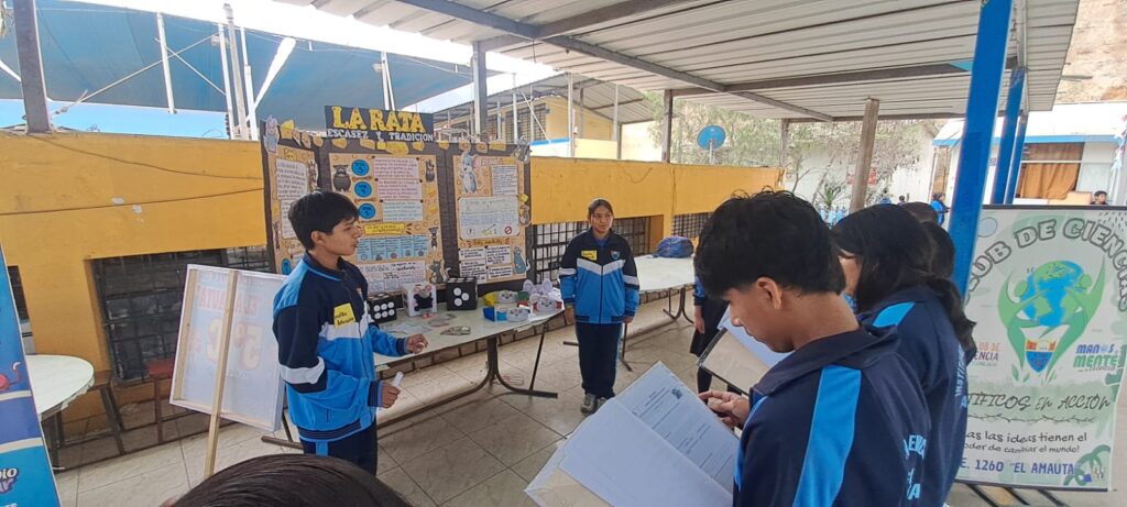 PROYECTO ECONOFEST FINANZOO