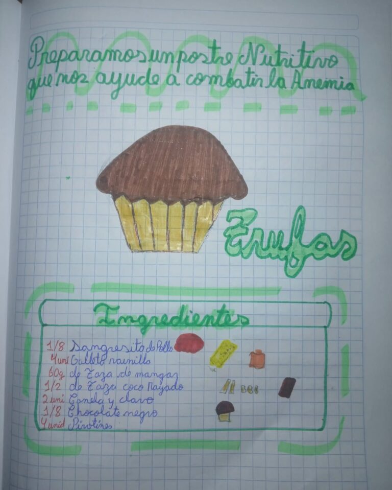 Galeria de evidencia