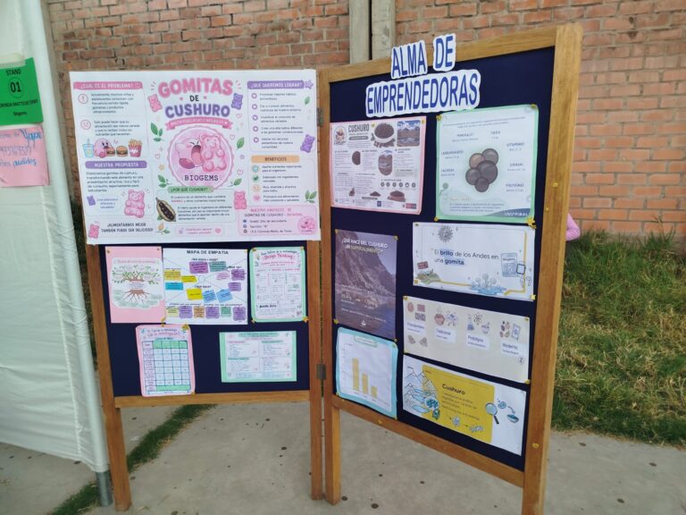 Galeria de evidencia
