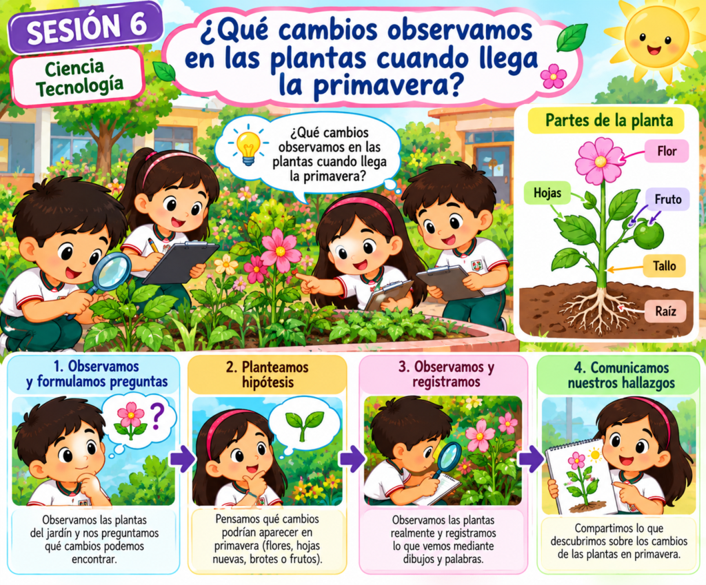 ESCUELAS INTEGRADAS:¿Qué cambios observamos en las plantas cuando llega la primavera?
