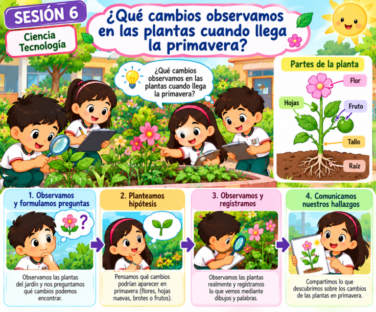 Galeria de evidencia