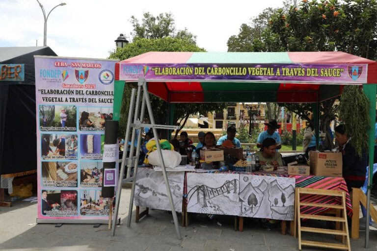 Galeria de evidencia