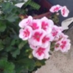 Profile photo of 26694259