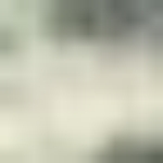 Profile photo of 41394579