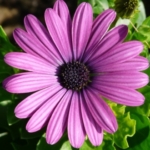 Profile photo of 10167177